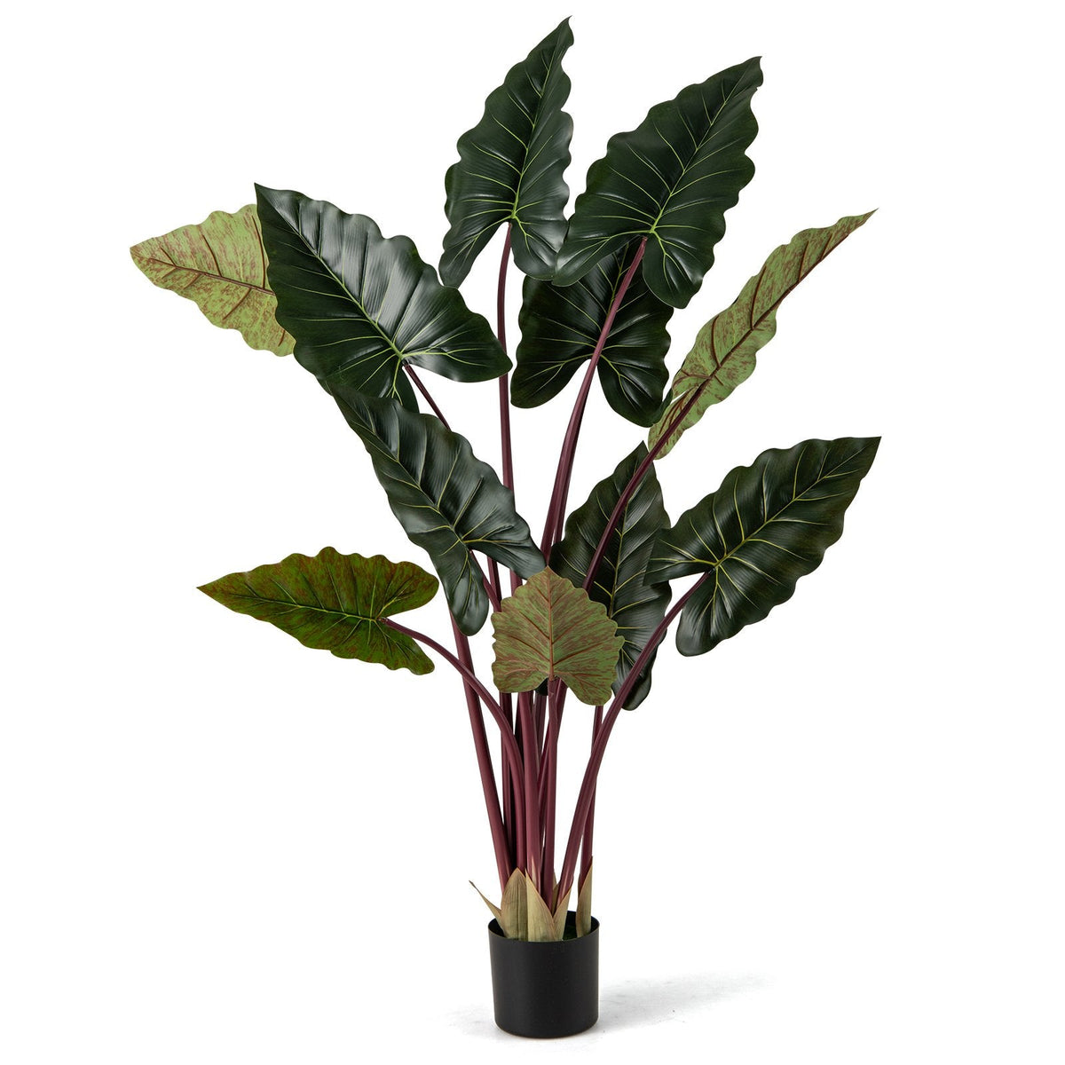 Artificial Rainbow Taro Tree 63 inches Tall with 11 Faux Leaves-1 Pack