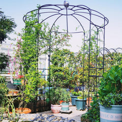 Birdcage Shape Gazebo for Climbing Plants and Wedding Ceremony Decoration