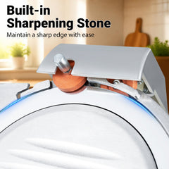 Commercial Meat Slicer with 10 inches Carbon Steel Blade and 0-0.47 inches Adjustable Thickness for Frozen Meat Cheese-Silver
