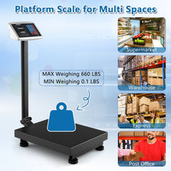 Computing Digital Platform Scale with Price Calculator