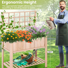 Raised Garden Bed with Trellis and Shelf, 3.4 Cu Ft Elevated Fir Planter Box with Liner