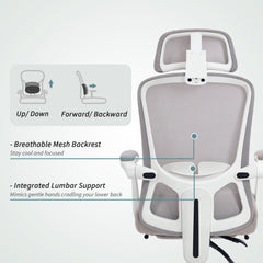 Ergonomic Office Chair, Mesh Reclining Desk Chair with Adjustable Lumbar Support, Headrest, Beige