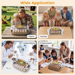 Egg Incubator with Temp and Humidity Control