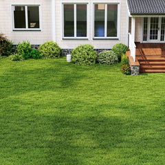 Indoor Outdoor Synthetic Turf Mat with Drainage Holes-XL