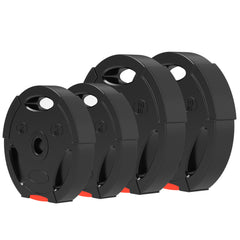 1-Inch Weight Plates, Barbell Weights Set for Weightlifting and Strength Training, 2 x 11lbs + 2 x 5.5lbs