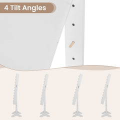 Mirror Jewelry Cabinet with 20 Warm Lights and 4 Tilt Angles-White