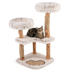 40 Inch Cat Tree on Real Wood Branch Posts with Two Round Plush Beds