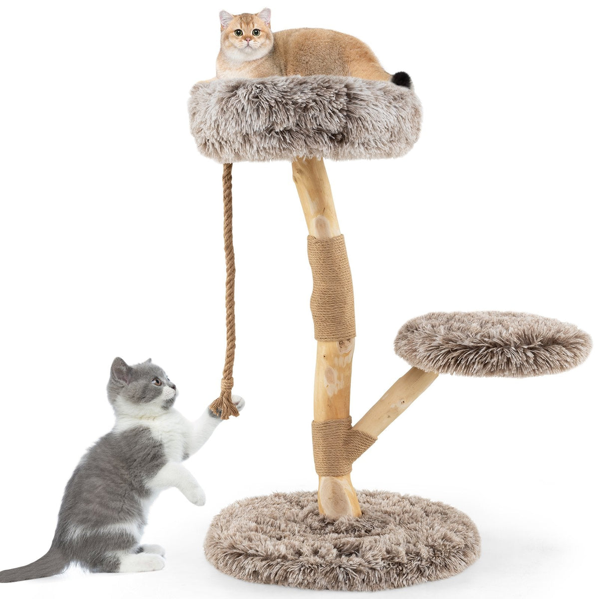35.5 Inch Pear Wood Cat Tree with a 16 Inch Round Bed and Jute Rope