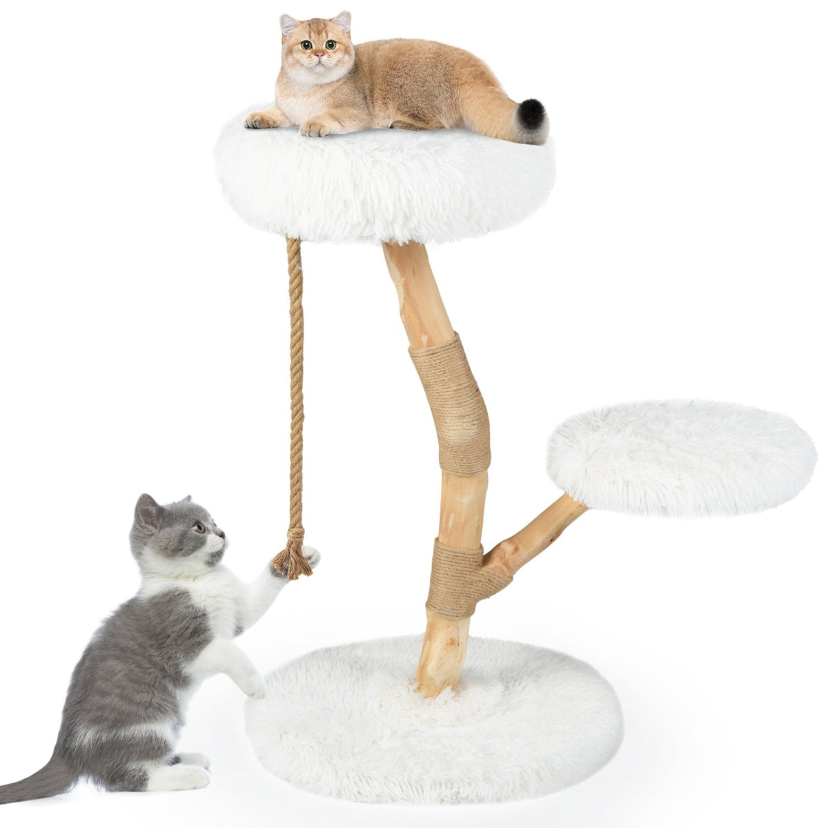 White Cat Tree 35.5 Inches on a Pear Wood Trunk with Two Round Beds