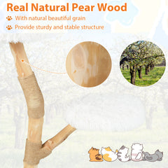White Cat Tree 35.5 Inches on a Pear Wood Trunk with Two Round Beds