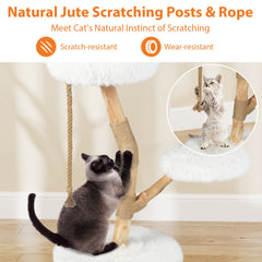 White Cat Tree 35.5 Inches on a Pear Wood Trunk with Two Round Beds