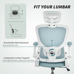 Ergonomic Office Chair, Mesh Desk Chair with Adjustable Headrest, Lumbar Support and Height, Flip-Up Armrests, Black