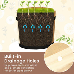 Outdoor Wooden Planter Box with Drainage Holes Set of 3