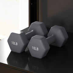 2 x 10LBS Hexagonal Dumbbells, Set of 2 Weights with Non-Slip Grip for Home Gym Workout
