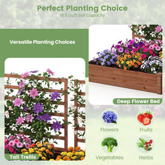 Raised Garden Bed with 2 Planter Boxes and 3 Trellis-Brown