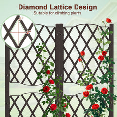 Raised Garden Bed with Double Trellis in Coffee, 32 Inch Self Watering Planter Screen