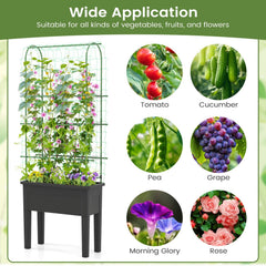 Self-watering Raised Garden Bed Elevated Planter with Climbing Trellis-Black