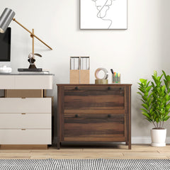 2 Drawer File Cabinet, Lockable Filing Cabinet with Adjustable Hanging Bar for Letter, A4 and Legal Size, Black