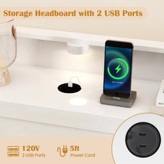 Twin Bed with Storage Headboard, Footboard Shelves, 2 USB Ports and LED Light