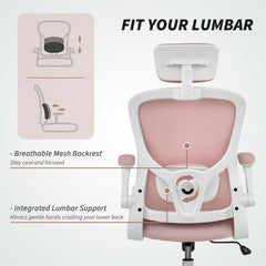 Ergonomic Office Chair, Mesh Desk Chair with Adjustable Headrest, Lumbar Support and Height, Flip-Up Armrests, Black