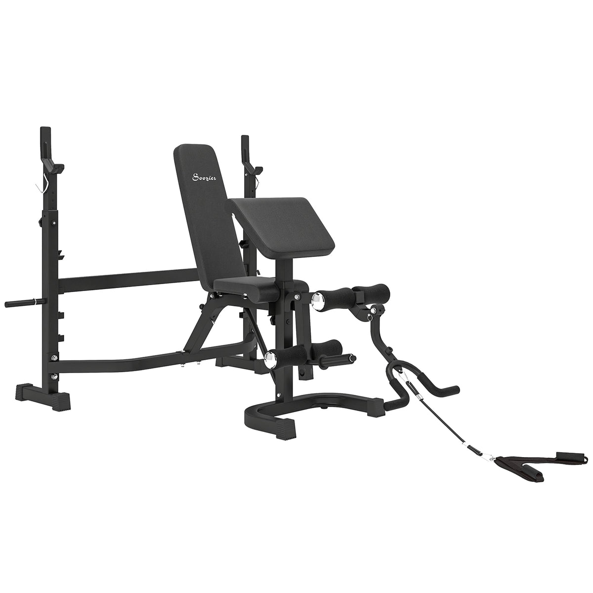 Weight Bench Stand with Squat Rack, Adjustable Olympic Bench, Multifunctional Arm Curl Pad, Leg Extension, Grey