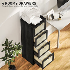 2 Drawer Filing Cabinet with Lock, Boho File Cabinet for A4 Letter Size Files with Decorative Rattan Accents, Oak