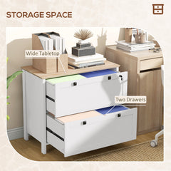 2 Drawer File Cabinet, Lockable Filing Cabinet with Adjustable Hanging Bar for Letter, A4 and Legal Size, Black