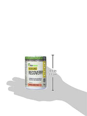 Iron Vegan Rebound Recovery Tropical Mango Peach, 150 gram
