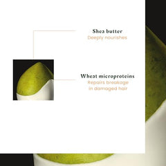 René Furterer - KARITE NUTRI - Intense Nourishing Overnight Care - Leave-in Overnight Care with Shea Butter - No-Rinse Care, Shea Oil, Shea Butter, Travel Size - 75ml