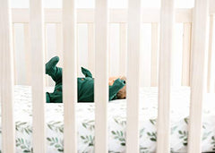 Copper Pearl Premium Fitted Knit Crib Sheet/Toddler Sheet Fern, 0.60 gram
