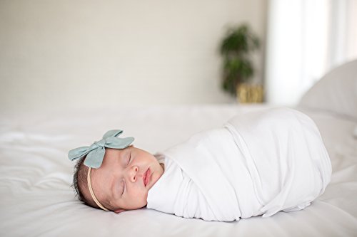 Copper Pearl Large Premium Knit Baby Swaddle Receiving Blanket"Dove", 9.6 Ounces