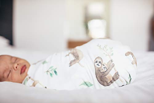 Copper Pearl Large Premium Knit Baby Swaddle Receiving Blanket"Noah", 9.6 Ounces