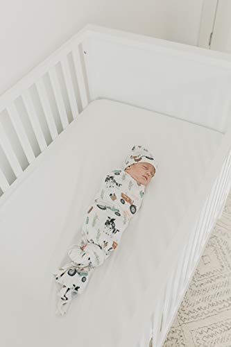 Copper Pearl Large Premium Knit Baby Swaddle Receiving Blanket Jo, 0.30 gram (J2-5DCN-R1VE)