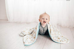 Copper Pearl Large Premium Knit Baby 3 Layer Stretchy Quilt Blanket"Chip" by Copper Pearl