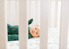 Copper Pearl Premium Fitted Knit Crib Sheet/Toddler Sheet Fern, 0.60 gram