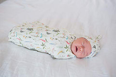 Copper Pearl Large Premium Knit Baby Swaddle Receiving Blanket"Aspen" by Copper Pearl