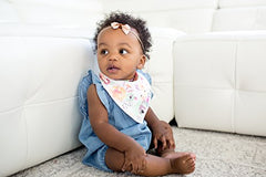 Copper Pearl 4-Pack Bandana Bibs, Bloom Set
