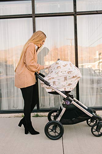 Copper Pearl Baby Car Seat Cover Canopy and Nursing Cover Multi-Use Stretchy 5 in 1 Gift"Noah", 4.8 Ounces