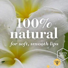 Burt's Bees Lavender & Honey Lip Butter, Gift 11.3 Grams