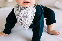 Copper Pearl Baby Bandana Drool Bibs 4 Pack Gift Set for Boys or Girls "Noah Set" by Copper Pearl