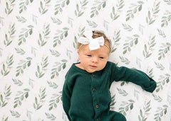Copper Pearl Premium Fitted Knit Crib Sheet/Toddler Sheet Fern, 0.60 gram