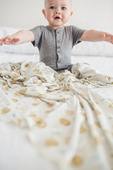 Copper Pearl Large Premium Knit Baby Swaddle Receiving Blanket"Chip", 9.6 Ounces