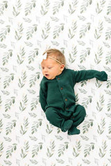 Copper Pearl Premium Fitted Knit Crib Sheet/Toddler Sheet Fern, 0.60 gram