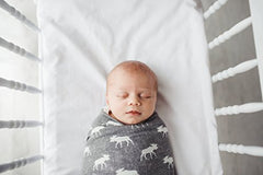 Copper Pearl Swaddle Blanket Scout