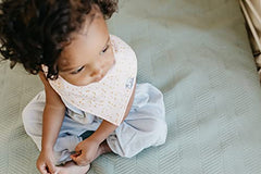 Copper Pearl 4-Pack Bandana Bibs, Whimsy Set