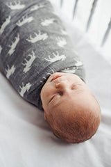 Copper Pearl Swaddle Blanket Scout