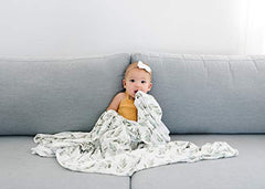 Copper Pearl Large Premium Knit Baby Swaddle Receiving Blanket Fern, 0.30 gram (X002DQ8BLF)
