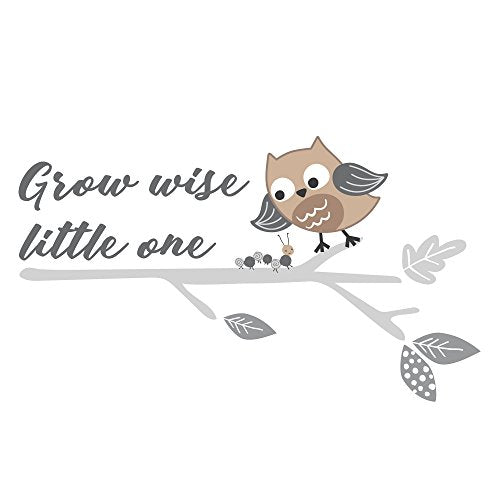 Bedtime Originals Little Rascals Grow Wise One Owl Wall Appliques, Gray/White