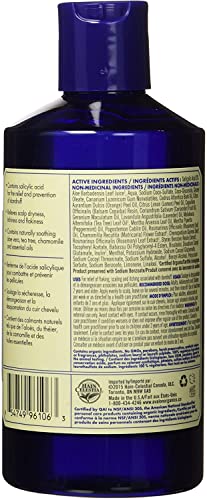 Avalon Organics Shampoo Anti Dandruff, 14-Ounce (packaging may vary)