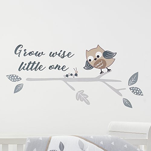 Bedtime Originals Little Rascals Grow Wise One Owl Wall Appliques, Gray/White